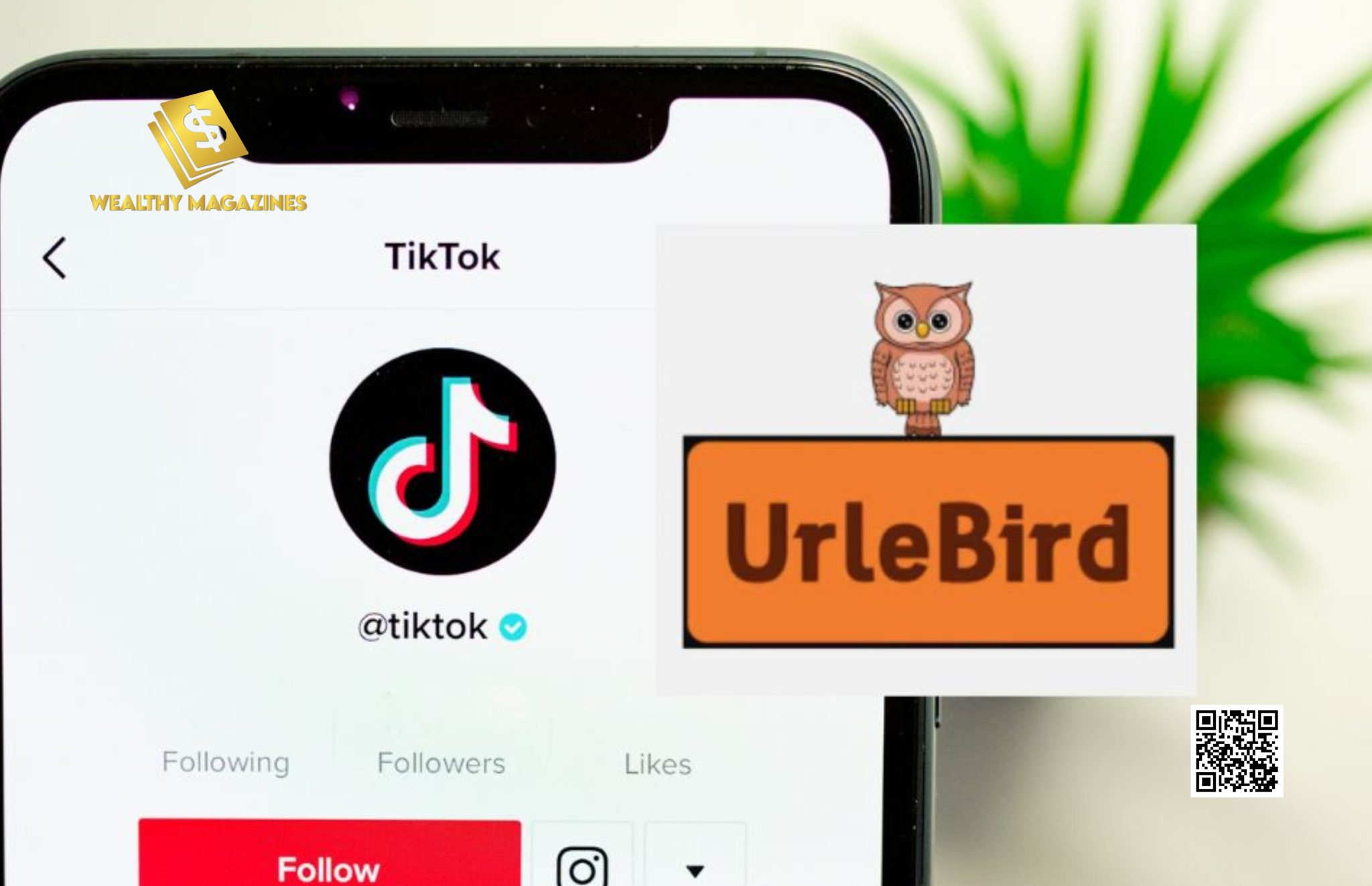 Urlebird A Better Way To Watch And Download Tiktok Videos